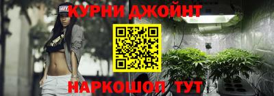 гашик Будённовск