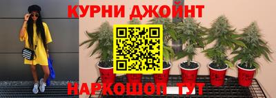 индика Бузулук