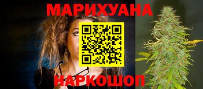 гашик Будённовск