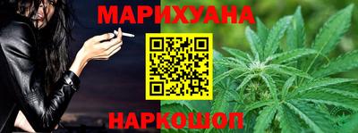 гашик Будённовск