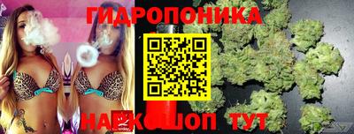 индика Бузулук