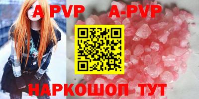 гашик Будённовск