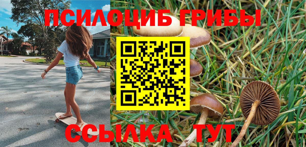 Галлюциногенные грибы Psilocybe  Вход с VPN  Люберцы 