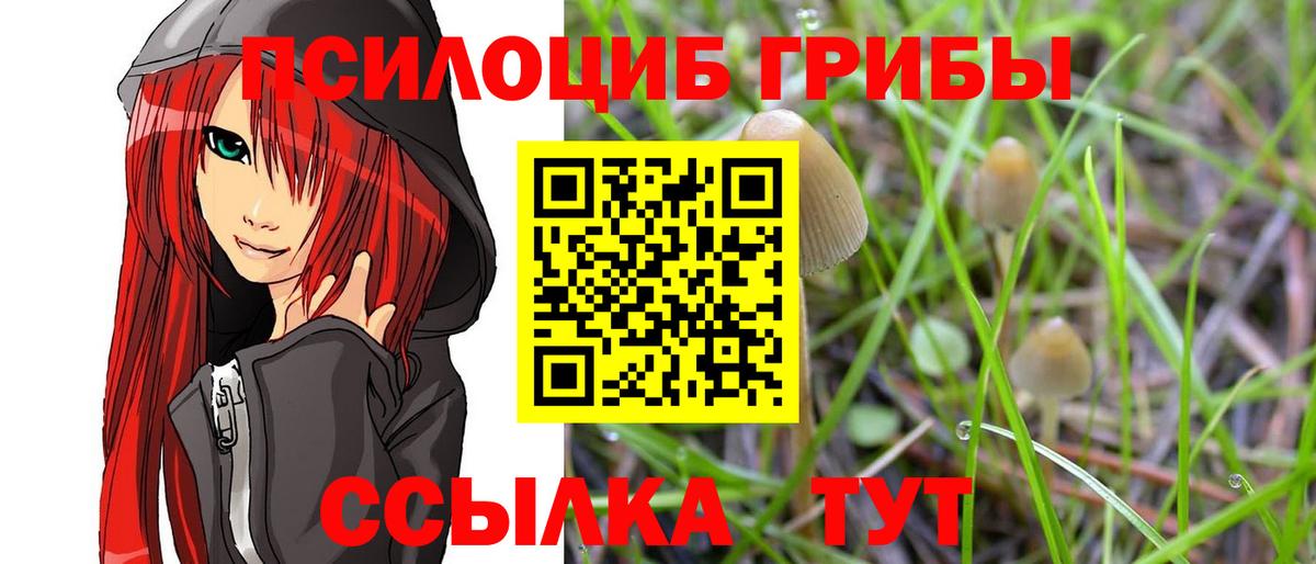 Галлюциногенные грибы Psilocybe Люберцы